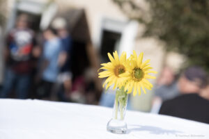 Sommer, Sonne, Vereinsfest: Ein rundum gelungener Nachmittag